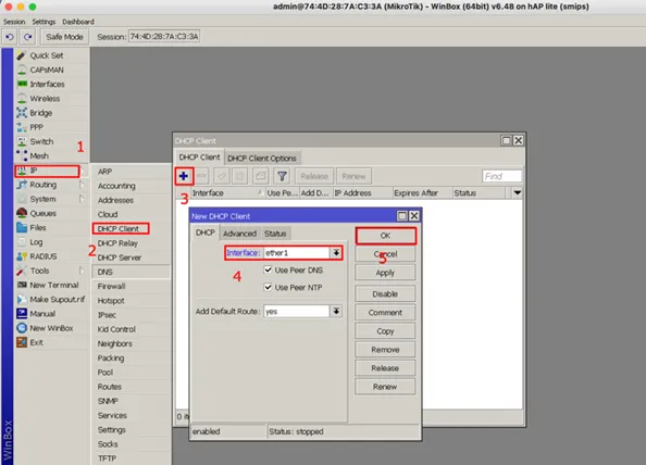 DHCP Client DHCP Client