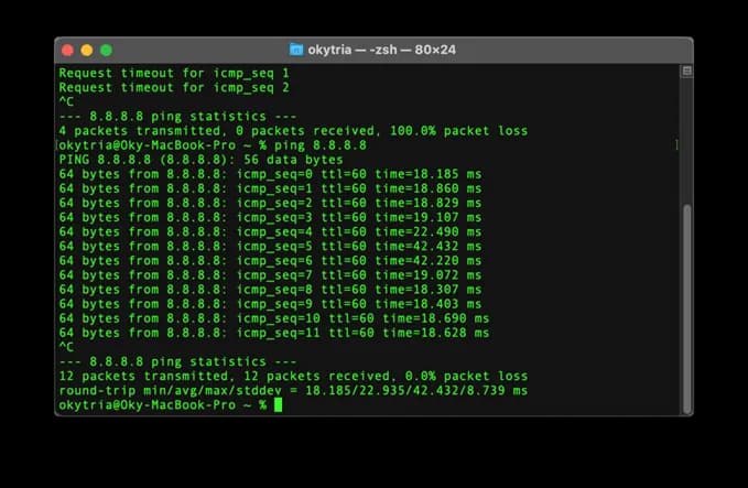 Ping Google Ping Google