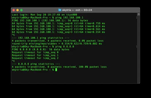 Ping Router Ping Router