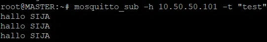 Test Result Host Test Result Host