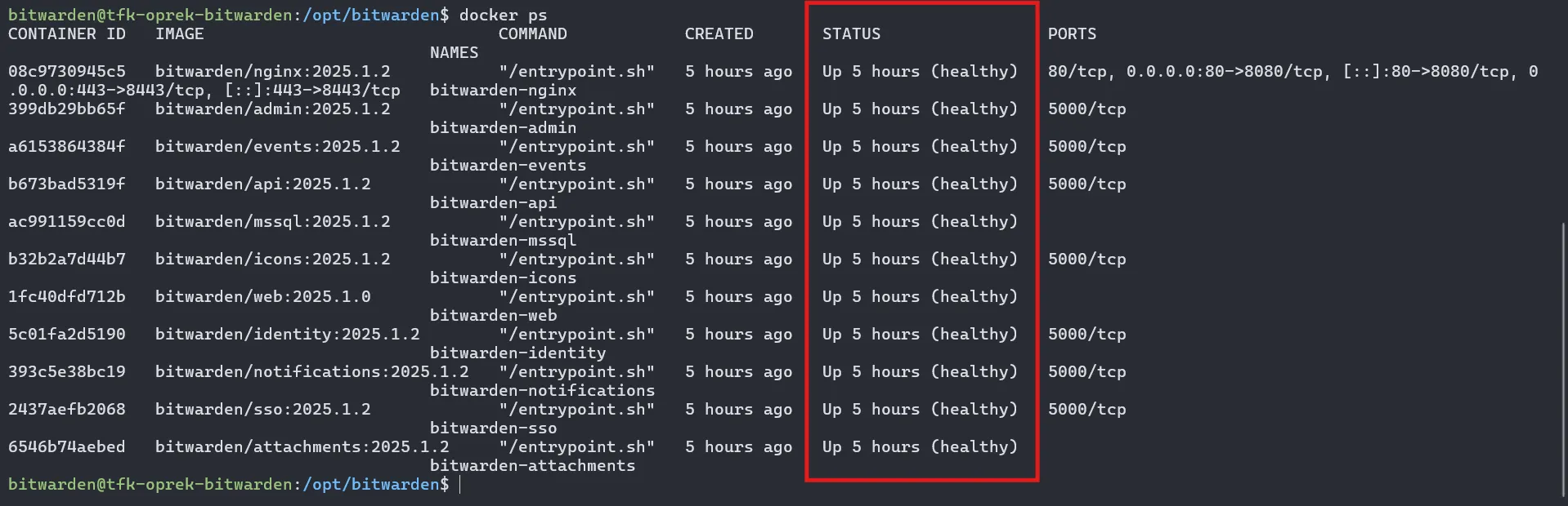 Docker PS Bitwarden Docker PS Bitwarden